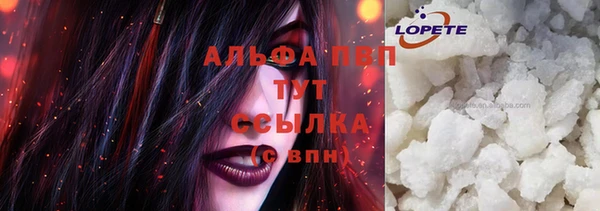молекула духа Арсеньев