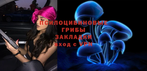 молекула духа Арсеньев