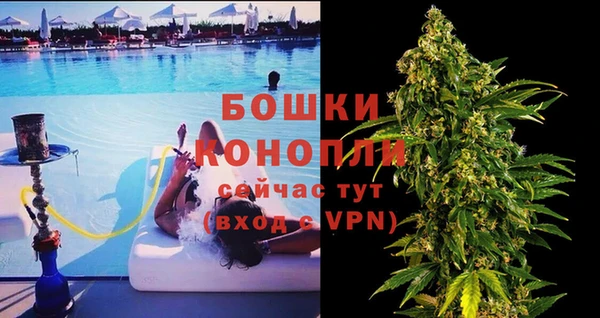 молекула духа Арсеньев
