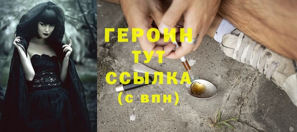 молекула духа Арсеньев