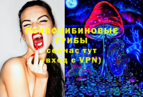 молекула духа Арсеньев