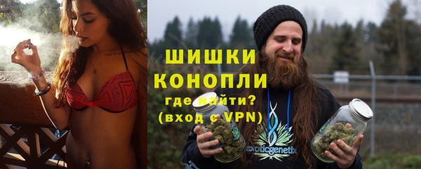 молекула духа Арсеньев