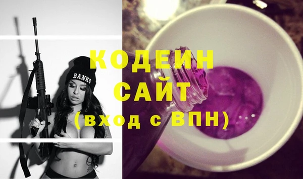 молекула духа Арсеньев