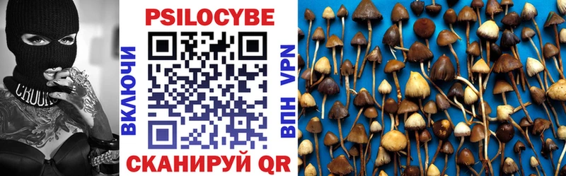 купить   Теберда  Галлюциногенные грибы Cubensis 